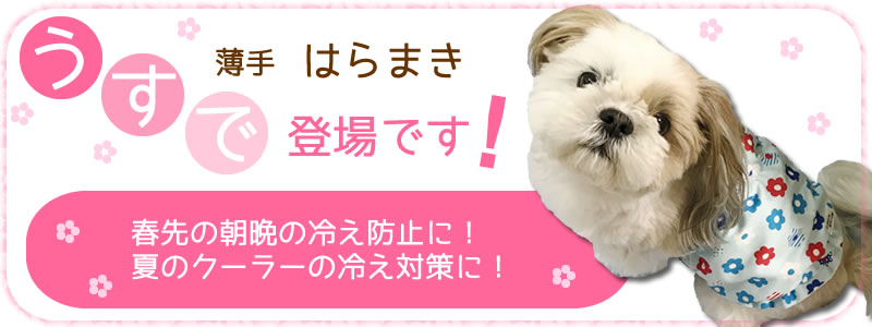 うすではらまき